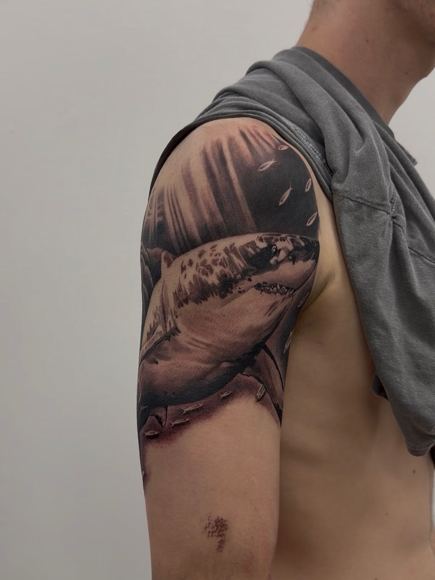 A black and grey shark tattoo across a shoulder, by Owen Lewis at Lewis Ink