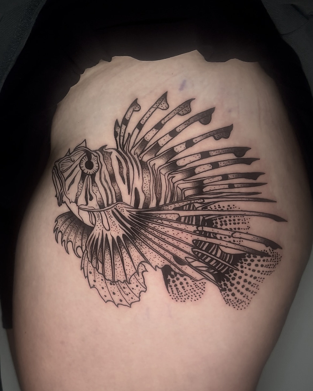 Lionfish on a thigh, by Kevin Lewis