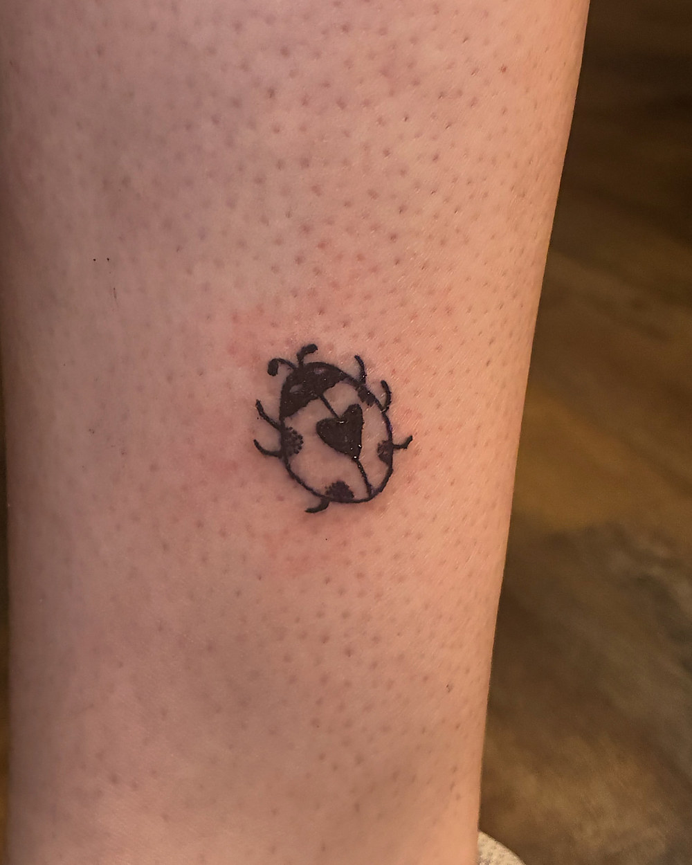 A ladybug in fine line on a leg, by Miah