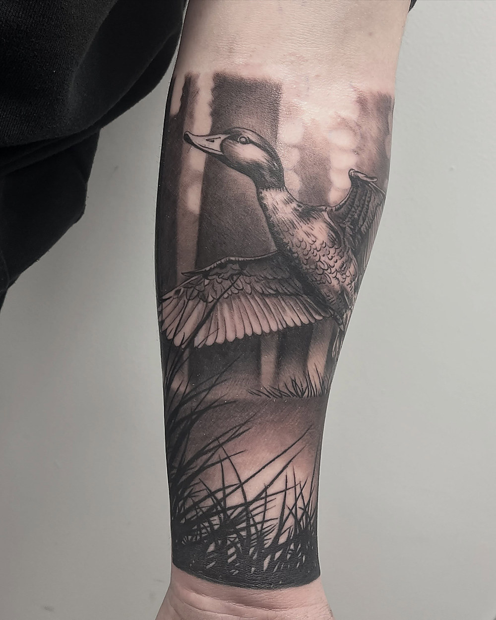 Duck taking flight over marsh grass, forearm, by Owen Lewis